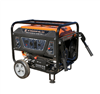 BN Products BNG3000 Portable Gas Generator
