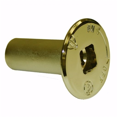 Jones Stephens Polished Brass Escutcheon for Log Lighter Valve L75909